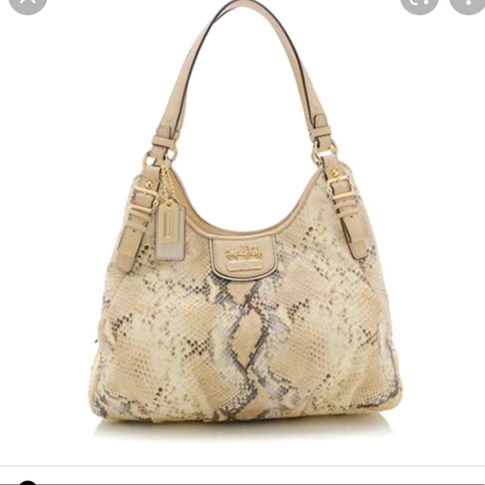 Coach Python Bag - image 1